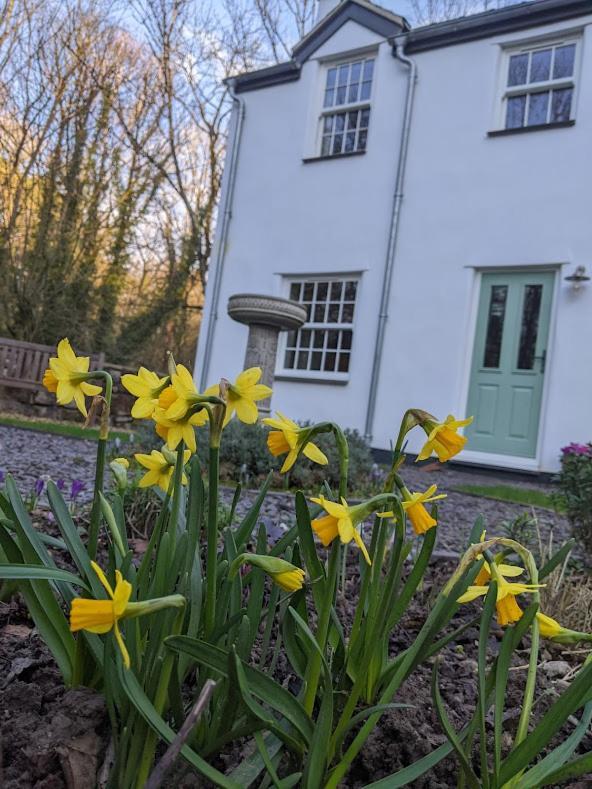 Riverside Cottage Walking Distance Into Caernarfon Exterior foto